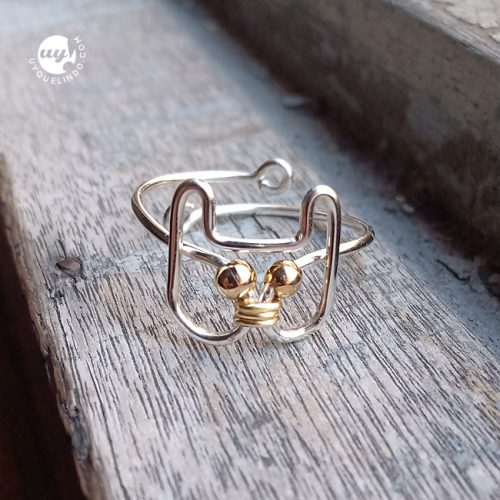 dog and cat ring